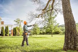 Best Lawn Watering Services  in Redwood Valley, CA