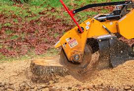 Best Emergency Tree Removal  in Redwood Valley, CA