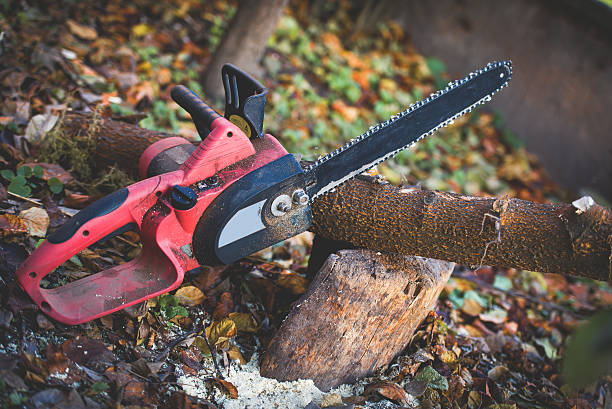 Best Pest Control for Lawns  in Redwood Valley, CA